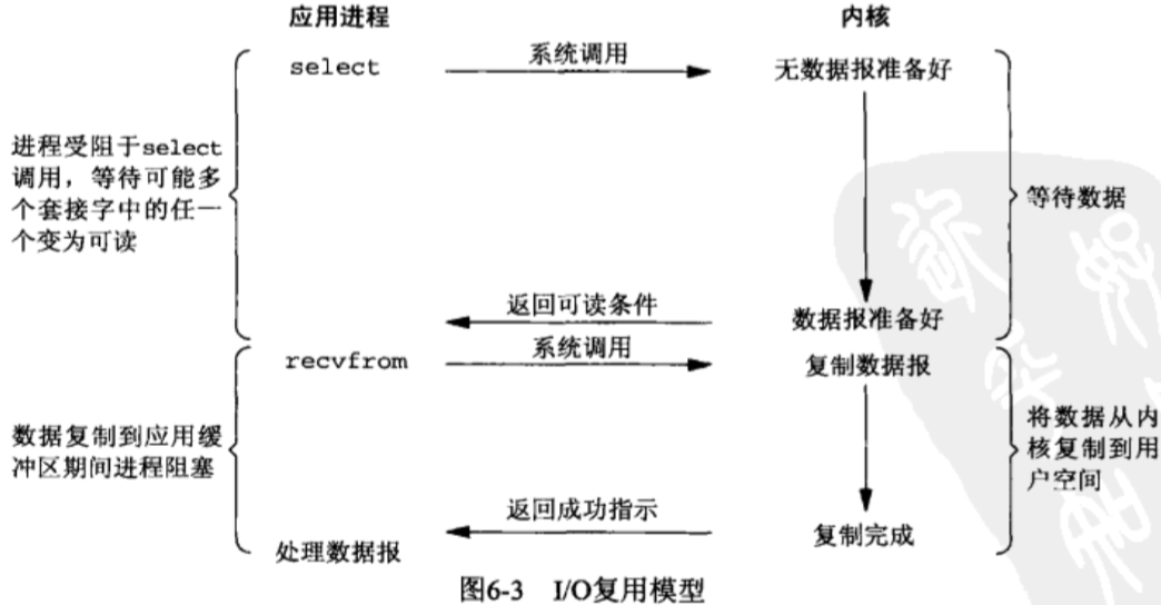 IO复用模型